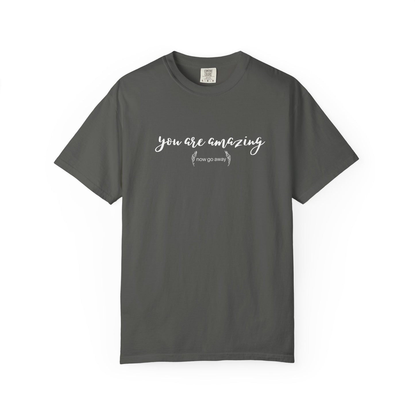 You are amazing (Now go away) T-shirt