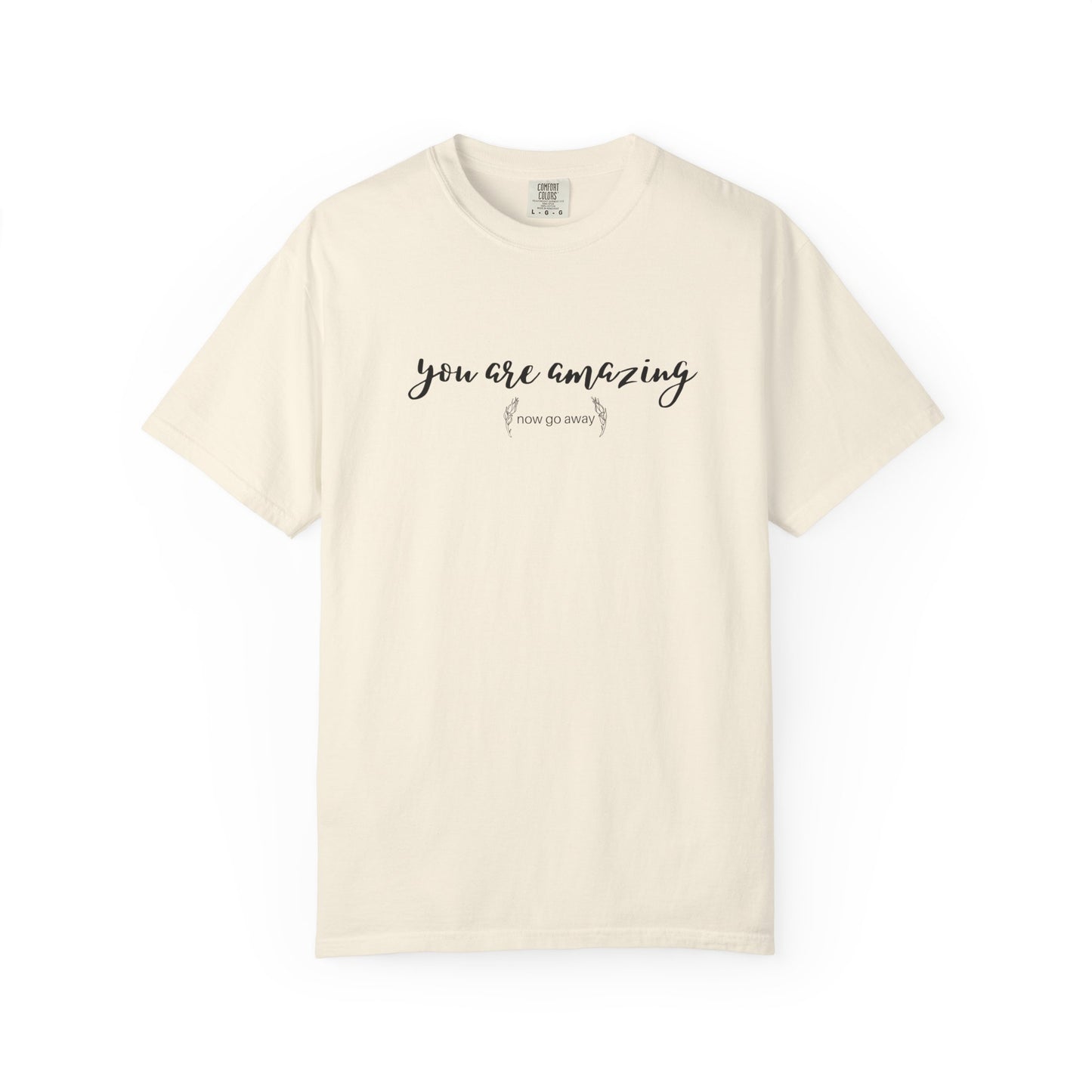 You are amazing (Now go away) T-shirt