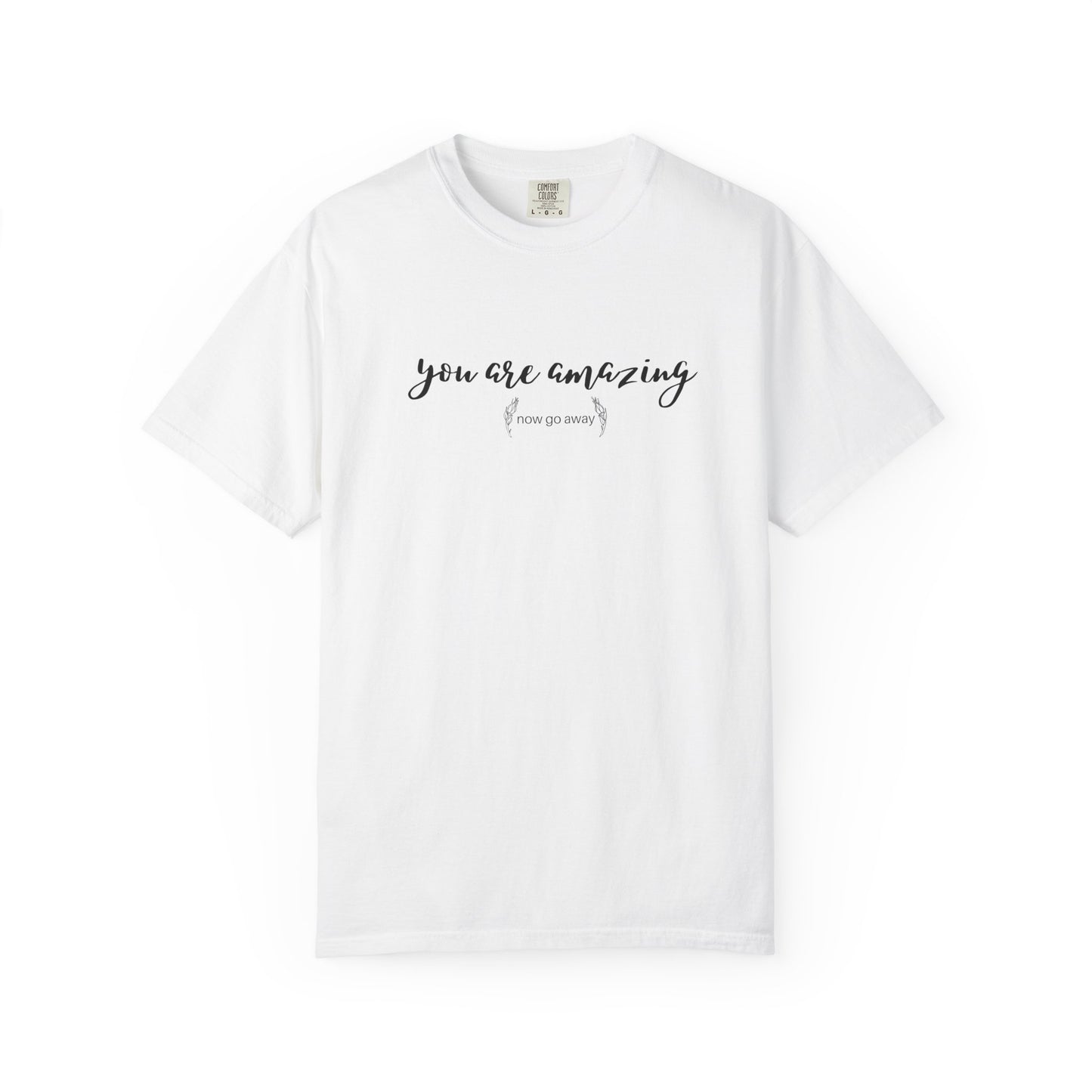 You are amazing (Now go away) T-shirt