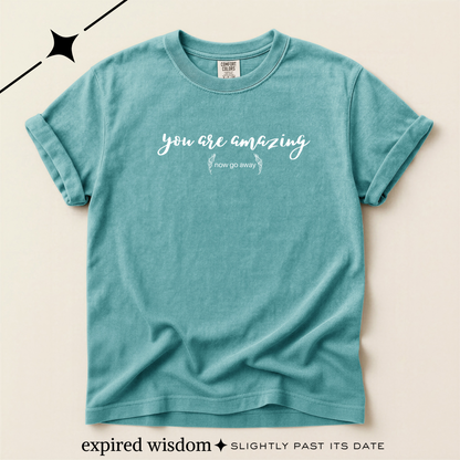 You are amazing (Now go away) T-shirt