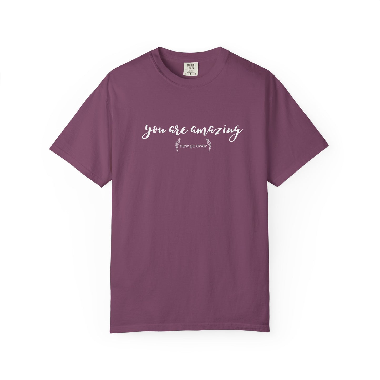 You are amazing (Now go away) T-shirt