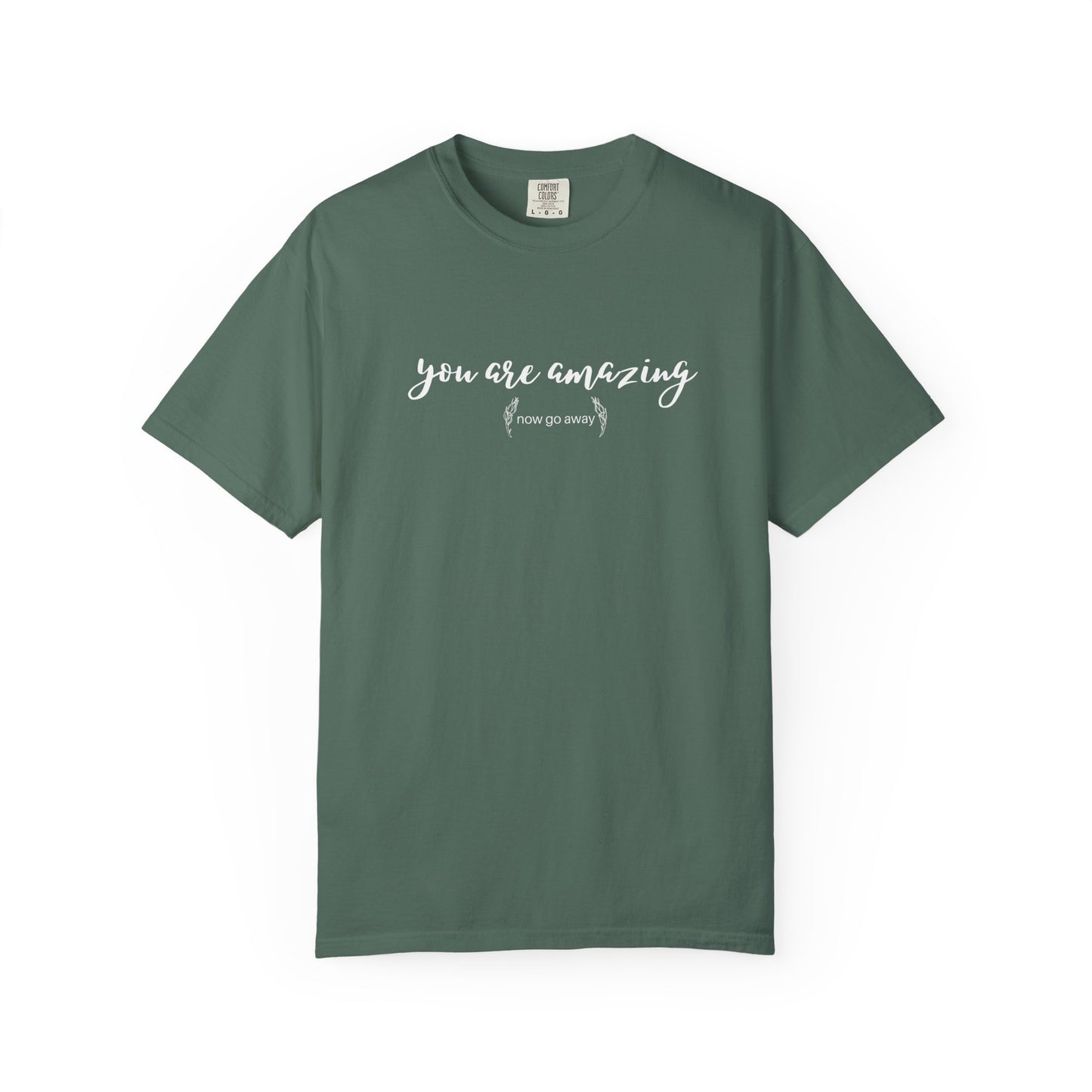 You are amazing (Now go away) T-shirt
