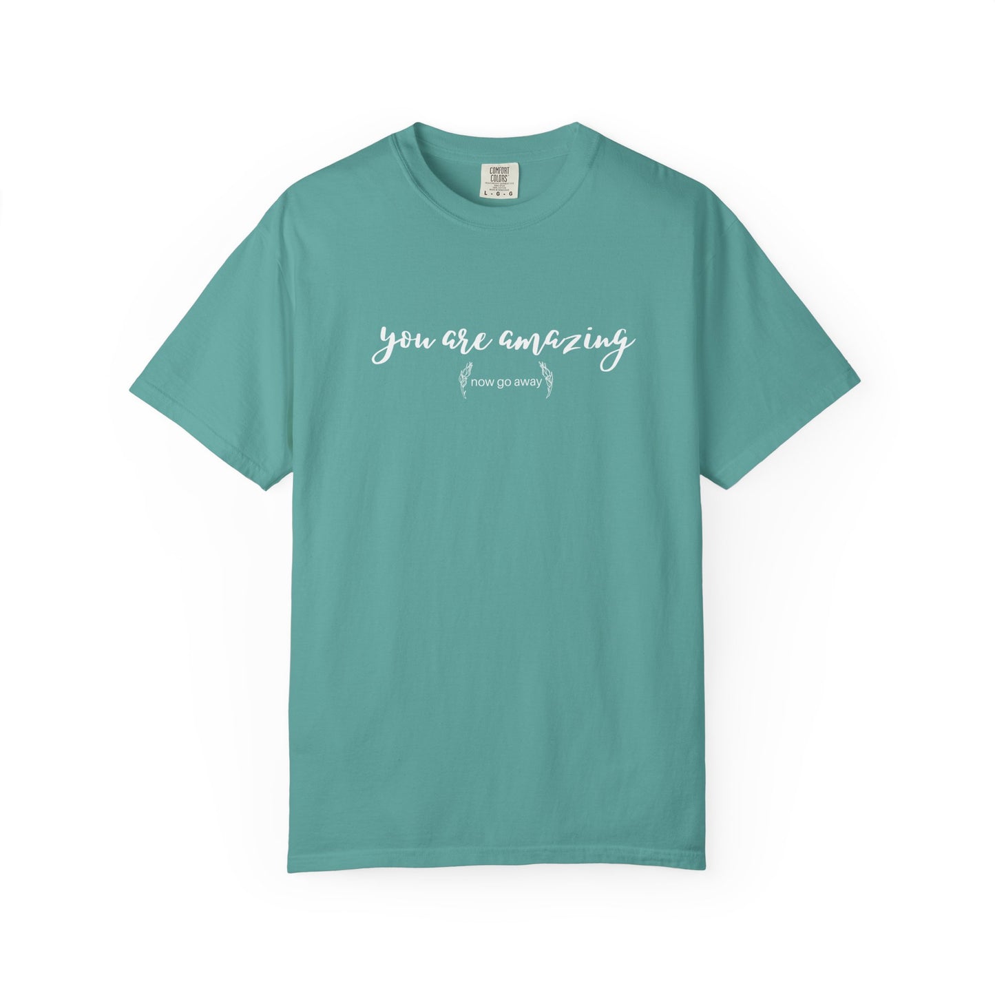 You are amazing (Now go away) T-shirt
